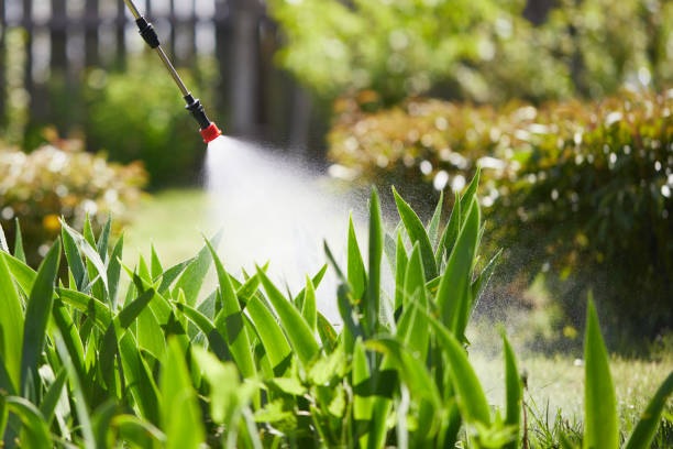 24/7 Emergency Mosquito Control experts in Susitna North, AK